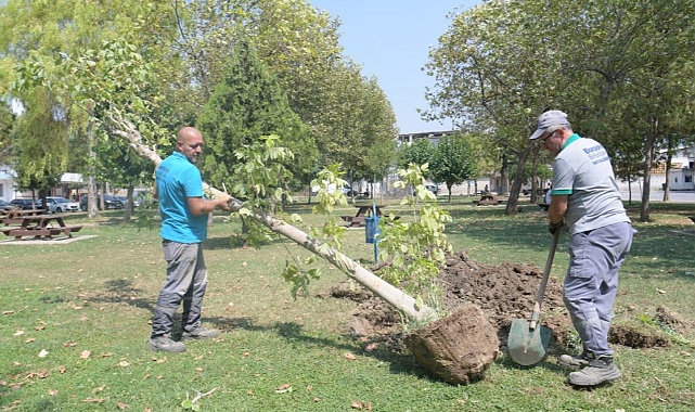 Bornova’da Parklara Ağaç Dikildi