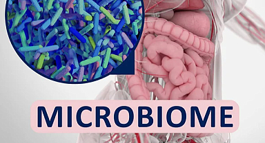 En yaygın çocukluk alerjilerinin kaynağı bağırsaklarda yatıyor