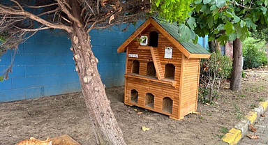 Fatsa Belediyesi,Kent Mobilyaları Üretim Atölyesinde Sokak Hayvanları İçin Çalışıyor