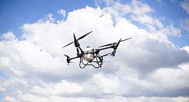 Karadeniz'de İlk Tarımsal Dron