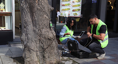 Kartal: Akustik Tomografi Yöntemiyle Ağaç Röntgeni