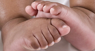 MSU: Her Beş Yetişkinden Biri Çocuk Sahibi Olmak İstemiyor