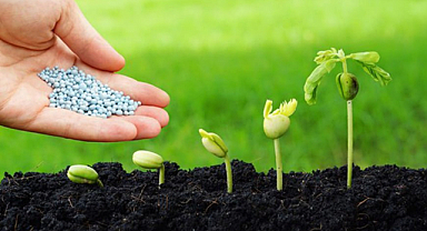 Rusya Gübre İhracat Fiyatlarını Arttırdı. Polonya'nın İthalatı 3,3 Artmıştı.