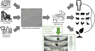 Mikroplastikleri Sudan Uzaklaştırma Yöntemi