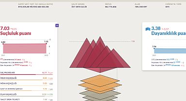 Türkiye'nin Küresel Organize Suçlar Raporu Puanı Kötüleşti