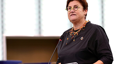 Osman Kavala Serbest Bırakılmazsa Türkiye Delegasyonu AKPM'de Oy Hakkını Kaybedebilir