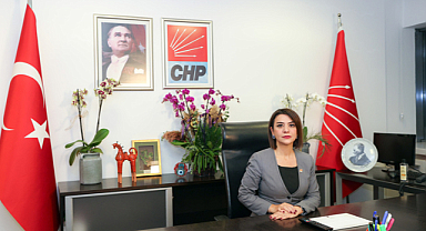 CHP Genel Başkan Yardımcısı Taşcıer: 