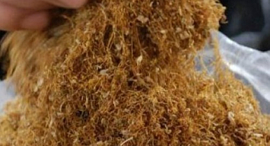 Tütün kullanımı dünya genelinde azaldı 