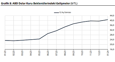 Yıl sonu dolar ve enflasyon beklentisi arttı