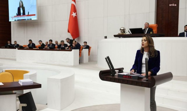 Gamze Akkuş İlgezdi, Genel Kurul'da Konuştu: