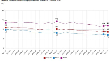 Mevsim etkisinden arındırılmış işsizlik oranı %8,8 seviyesine geriledi