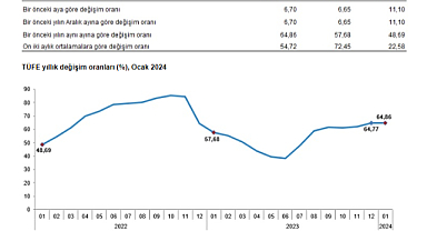 Tüketici Fiyat Endeksi Ocak 2024'te Yükselmeye Devam Ediyor