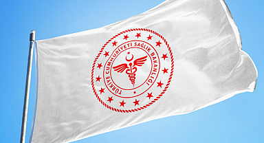 Türkiye'de Sağlık Sisteminin Sorunları ve Göç Eden Sağlık Çalışanları