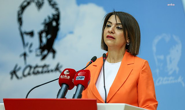 Gamze Taşcıer'den Çalışma Meclisi'nin 1 Mayıs'ta Toplanmasına Tepki