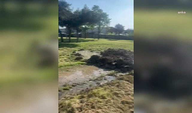 5 Yaşındaki Edanur Gezer'in Ölümüyle İlgili 3 Kişi Gözaltına Alındı