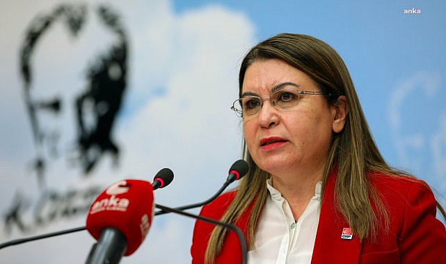 Gülizar Biçer Karaca: "2016 yılından itibaren kayıp çocuk verileri açıklanmıyor"