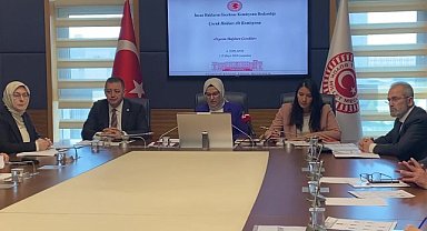 TBMM Çocuk Hakları Alt Komisyonu'na Sunum Yapan Öğretim Üyesi Yeşim Kılıç: 