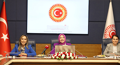TBMM Kadın Erkek Fırsat Eşitliği Komisyonu: Türkiye'deki nüfus artış hızı binde 1,1 seviyelerine geriledi