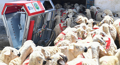 Ankara Büyükşehir'den 'Küçükbaş Hayvan Yıkama Makinesi' desteği