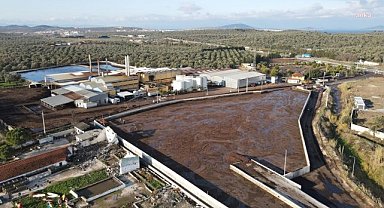 Ayvalık Belediyesi, Doğuş Pirina Fabrikası'na açtığı davayı kazandı