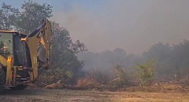 Bursa'nın Nilüfer ilçesinde orman yangını 