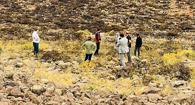 EMO'dan Diyarbakır ve Mardin'deki yangına ilişkin rapor: 