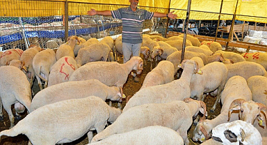 İzmir Büyükşehir Belediyesi, kurban bağış kampanyası başlattı