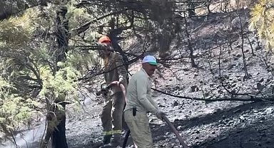 İzmir Orman Bölge Müdürlüğü'nden İzmir ve Manisa için yangın raporu: Yılın ilk altı ayında 45 yangın çıktı