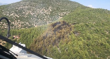 Milas orman yangını kontrol altına alındı 
