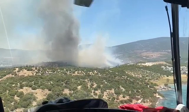 Muğla Milas'ta orman yangını