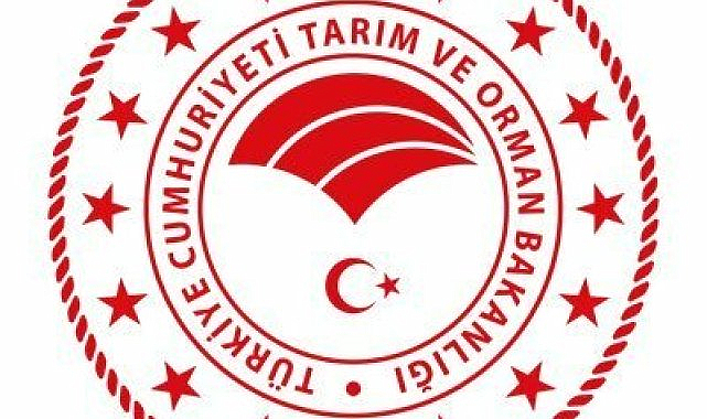 Orman yangınlarına 'ceza' hatırlatması: Dikkatsizlikten orman yangını çıkaranlara 3 yıldan 10 yıla kadar hapis cezası