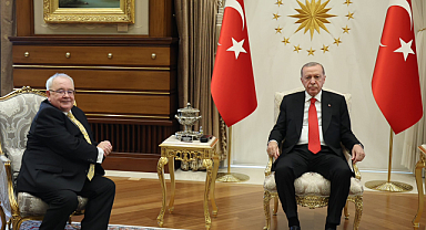 Cumhurbaşkanı Erdoğan, İrlanda Meclis Başkanı Fearghail'i kabul etti