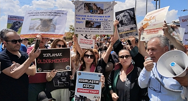 Hayvan hakları savunucuları Diyarbakır'dan seslendi: ''Bu kanun teklifi, kan kokuyor.