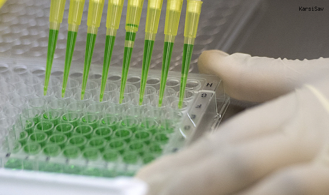 İnsan Kuş Gribi (H5N1) mRNA Aşısı Geliştirme Çalışmaları Devam Ediyor