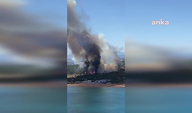 Lara turizm bölgesindeki orman yangını kontrol altına alındı