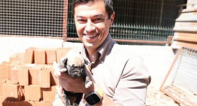 Marmaris Belediye Başkanı Ünlü: "Sokak hayvanlarının yaşama hakkını sonuna kadar savunuyoruz"