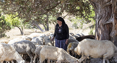 Mersin'de küçükbaş hayvan desteği projesi: Verilen hayvanlar yerine 3 yıl sonra yavru alınıyor