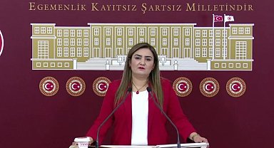 Sevda Erdan Kılıç: Bu yılın ilk altı ayında kadın cinayetleri kapsamında 24 çocuk hayatını kaybetti