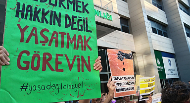 Sokak hayvanları yasası nasıl uygulanacak?