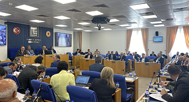 Sokak hayvanlarıyla ilgili kanun teklifi değişti: 