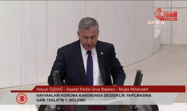 TBMM'de sokak hayvanları yasa tasarısının birinci bölümü üzerine görüşmeler başladı