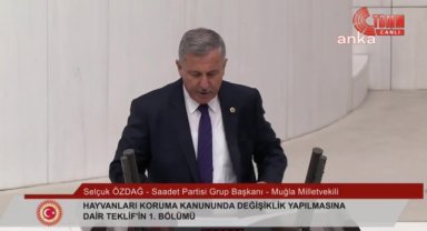 TBMM'de sokak hayvanları yasa tasarısının birinci bölümü üzerine görüşmeler başladı