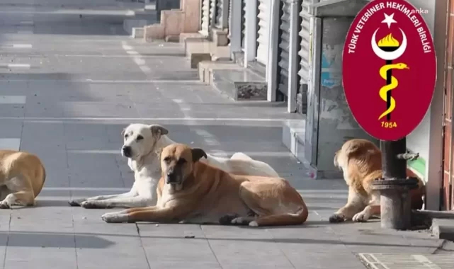 Türk Veteriner Hekimleri Birliği: Yasa teklifinden ötanazi ifadesi çıkarılsa da tamamen kapsam dışı bırakmıyor