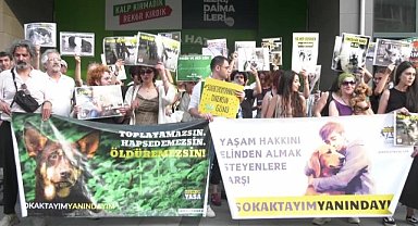 Yaşam İçin Yasa İnisiyatifi, 44 gündür hayvan hakları nöbetinde: "Kısırlaştırın, aşılatın, yerinde yaşatın"