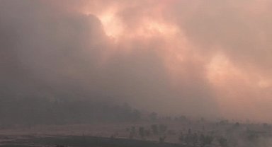 Ankara-Bolu sınırında orman yangını devam ediyor... İki köyden 123 vatandaş tahliye edildi