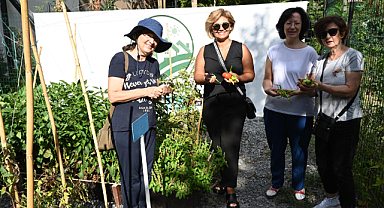 Beşiktaş Belediyesi’nin Konaklar Bostanı, ilk mahsullerini veriyor