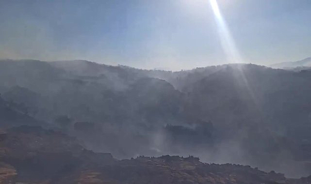 Bingöl'de orman yangını sebebiyle çok sayıda kişi tahliye edildi