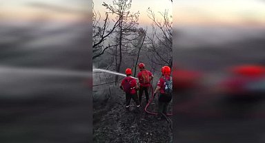 Bursa'daki orman yangınına müdahale sürüyor