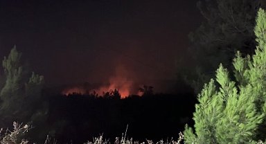 CHP İzmir Milletvekili Kılıç: "Orman yangınlarına ilişkin özel yasal düzenlemeler yapmak zorundayız" 