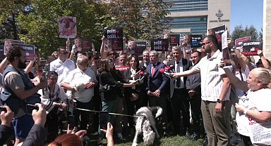 CHP, sokak hayvanları yasasının iptali için AYM'de dava açtı 